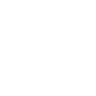 Bridvia Icon