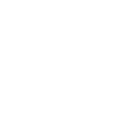 Bridvia